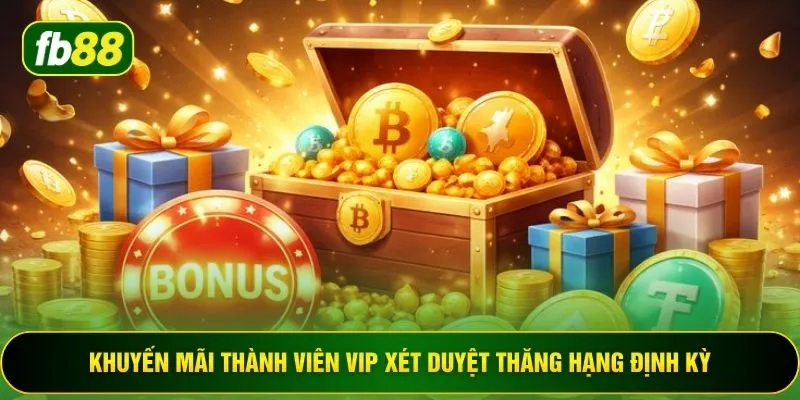 Khuyến mãi thành viên VIP xét duyệt thăng hạng định kỳ